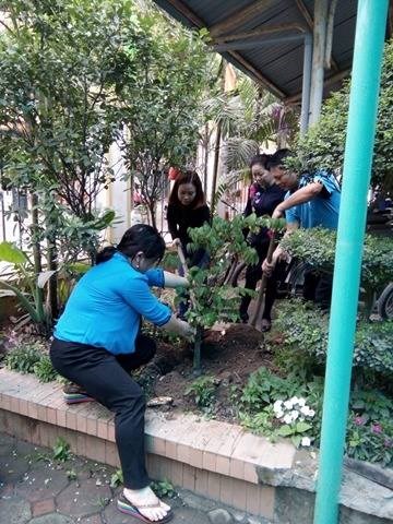 Trường mầm non Long Biên tổ chức trồng cây đầu Xuân Mậu Tuất 2018